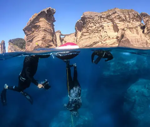 Freedive Azores gallery photo 2