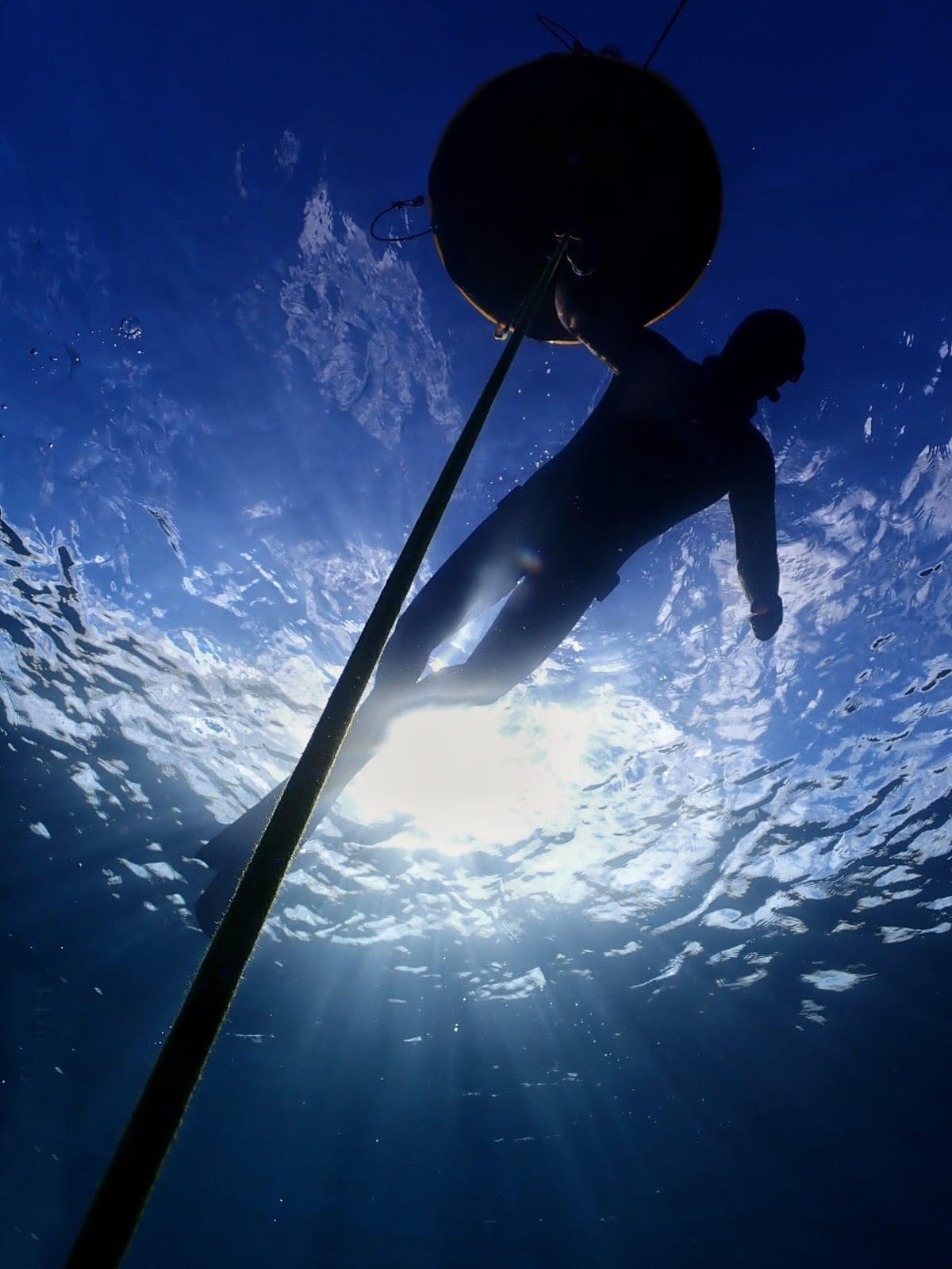 Freedive Azores gallery photo 5