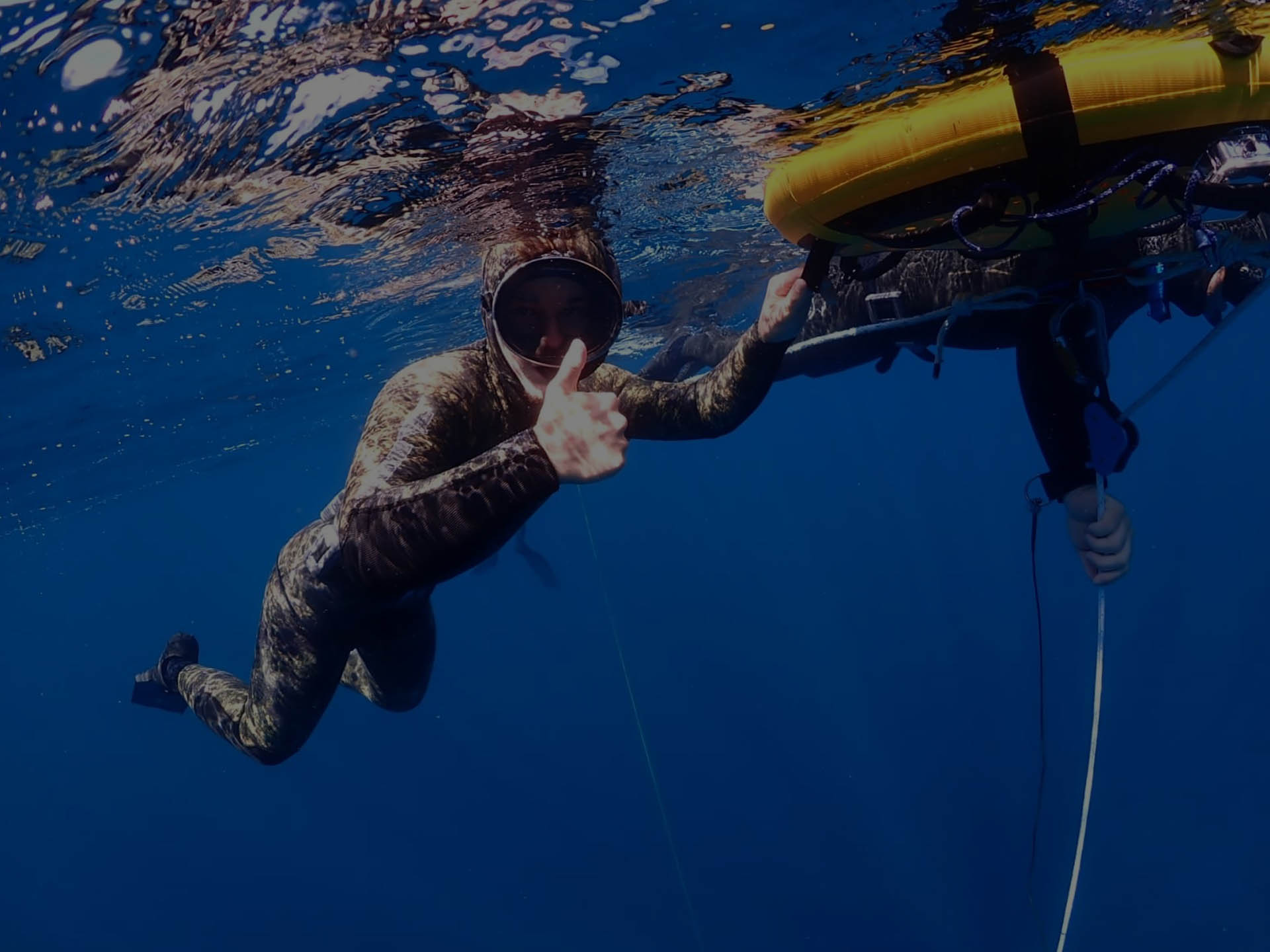 Freedive Azores gallery photo 4